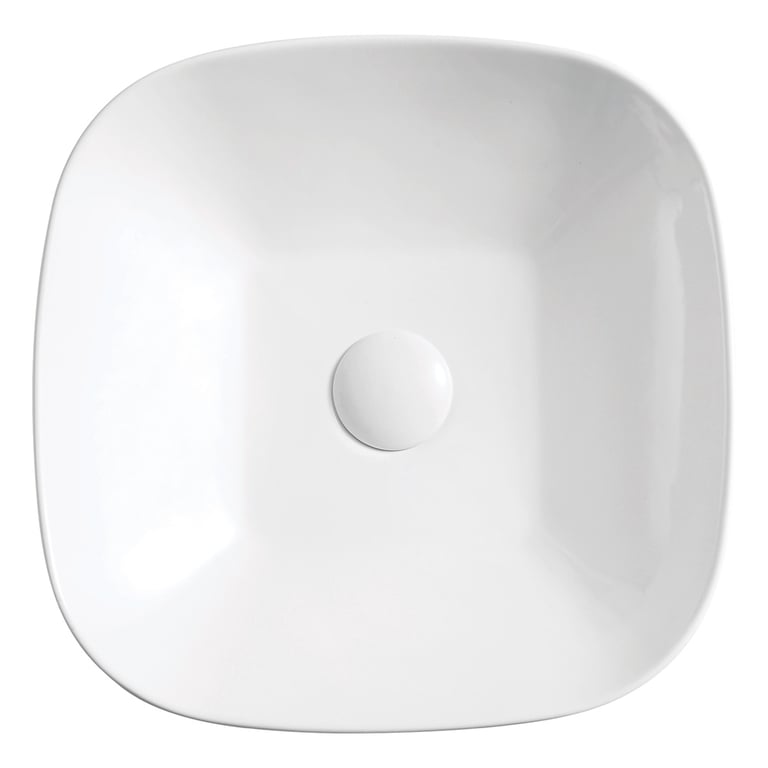 RB2245 1 Image of Basin CounterTop Fienza Chloe