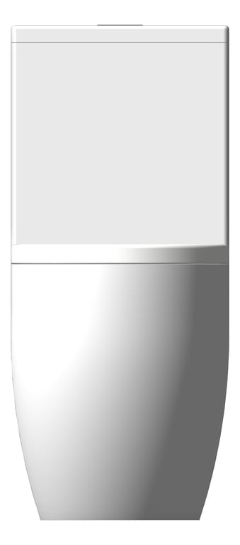 Front Image of ToiletSuite WallFaced Fienza Alix Ambulant