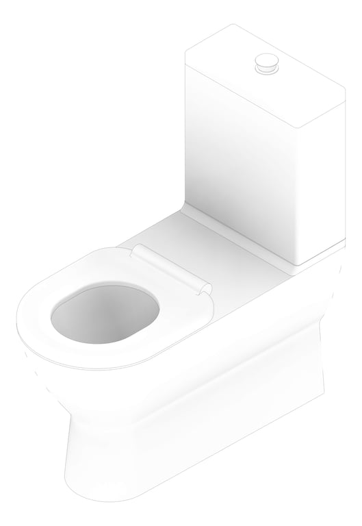3D Documentation Image of ToiletSuite WallFaced Fienza DeltaCare