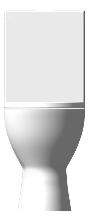 Front Image of ToiletSuite WallFaced Fienza Delta Rimless