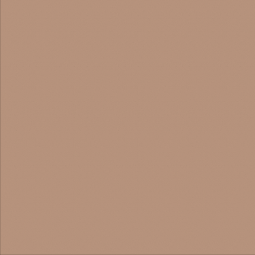 Navigate to Sealant Concrete Fosroc NitosealMS250 Cinnamon