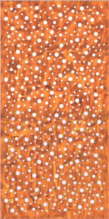 Image of Panel Acoustic Keystone KeyPly Designer 1200x600 HoopPly JarrahStain