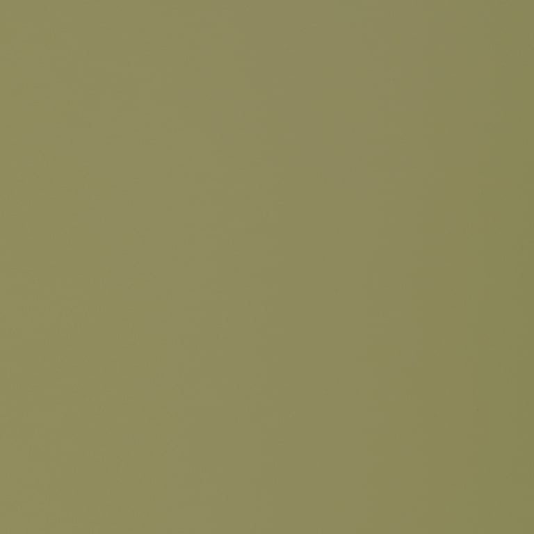 Navigate to Laminate Decorative Laminex ColourCollection WhitesAndNeutrals Natural Olivine