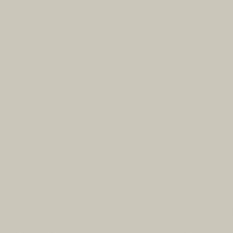 Navigate to Laminate Decorative Laminex ColourCollection WhitesAndNeutrals Natural PearlGrey