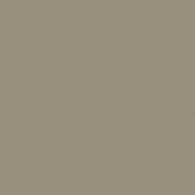 Navigate to Laminate Decorative Laminex ColourCollection WhitesAndNeutrals Natural Possum