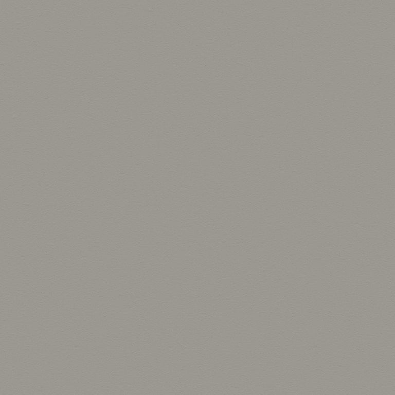 Navigate to Laminate Decorative Laminex ColourCollection WhitesAndNeutrals Natural Tornado