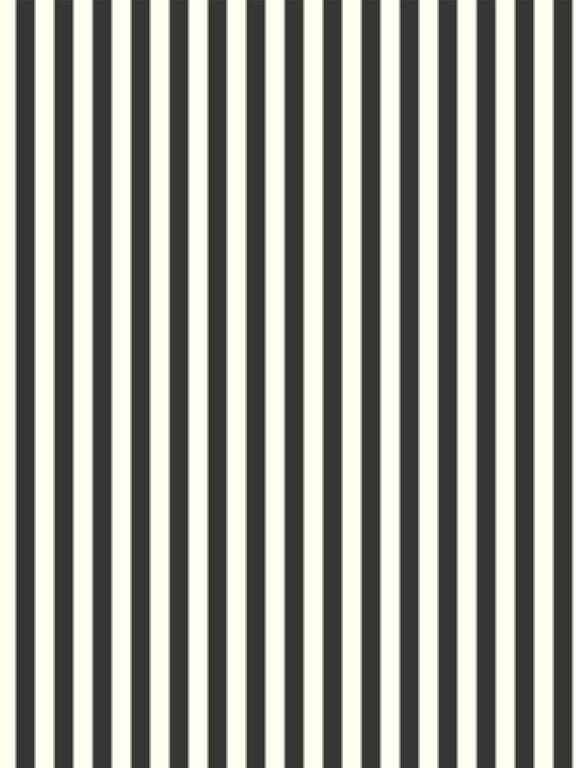 Navigate to Panel Decorative Laminex Surround FrenchStripe30 HogBristleHalf