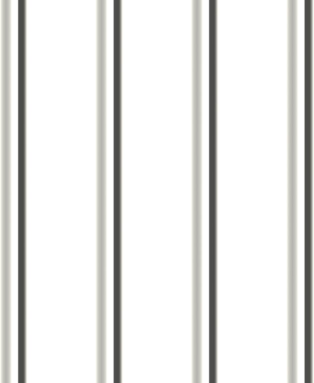 Navigate to Metal SheetCladding Lysaght FlatDek Galactic