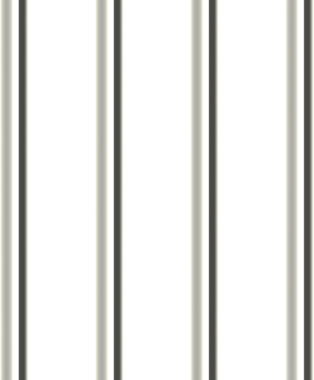 Navigate to Metal SheetCladding Lysaght FlatDek SurfmistMatt
