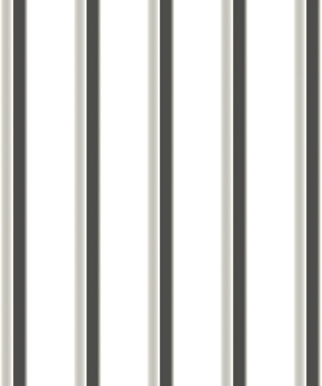 Navigate to Metal SheetCladding Lysaght TrimDek NT Galactic