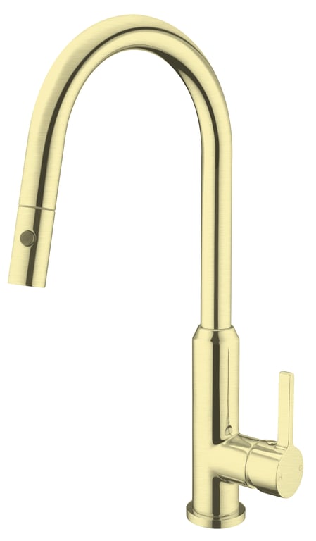 NR231708BG image 1 Image of Mixer Sink Nero Pearl PullOut VeggieSpray