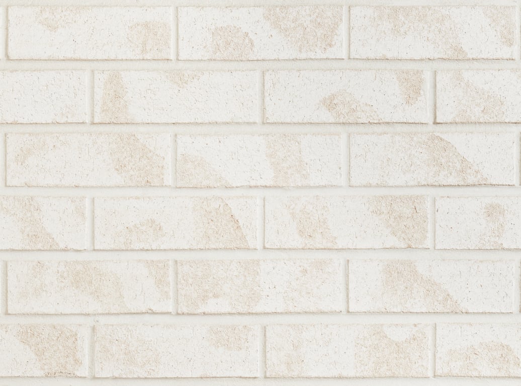 Masonry Brick PGH CoastalHamptons WashedWhite