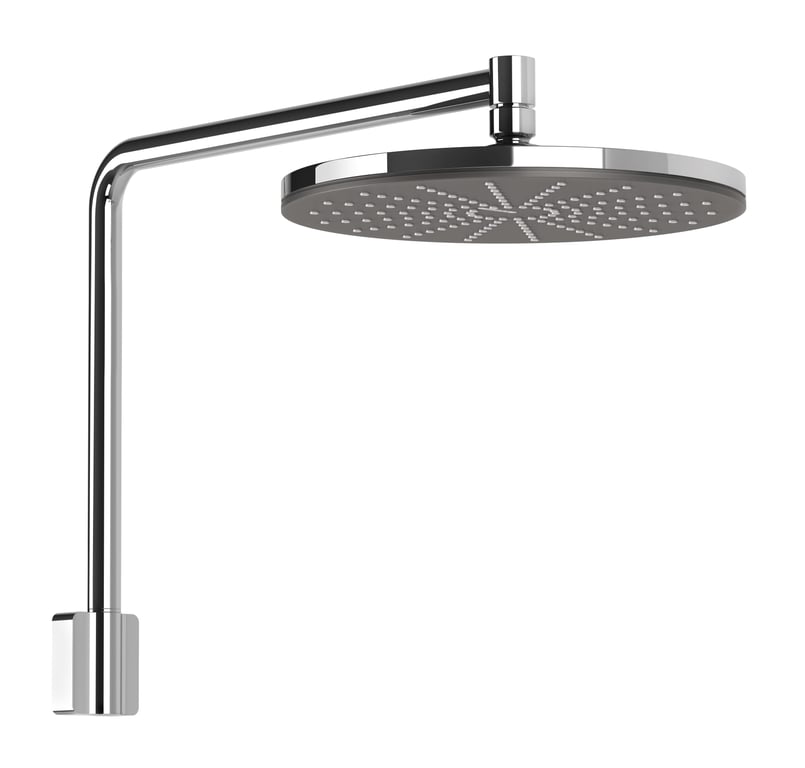 604-5100-00 NX Vive Shower Arm & Rose Image of Shower Head Phoenix NXVive