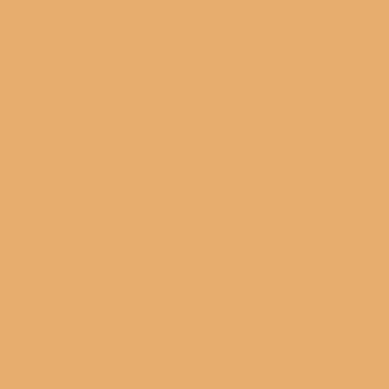 Navigate to Paint PortersPaints StonePaintFine Ochre
