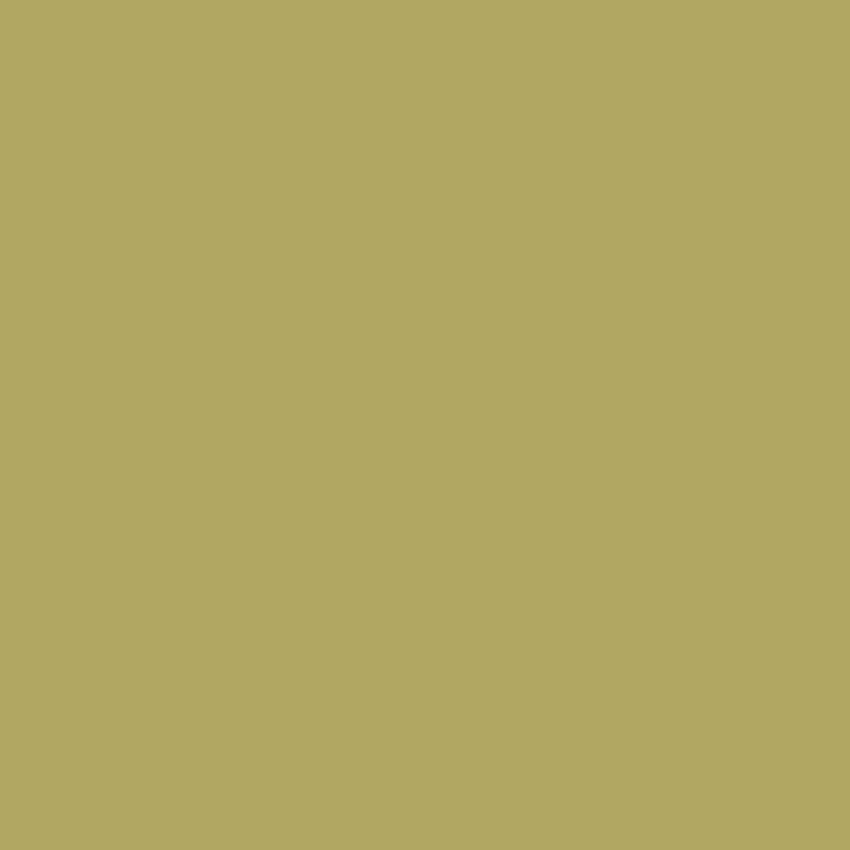 Paint PortersPaints StonePaintFine WildMoss