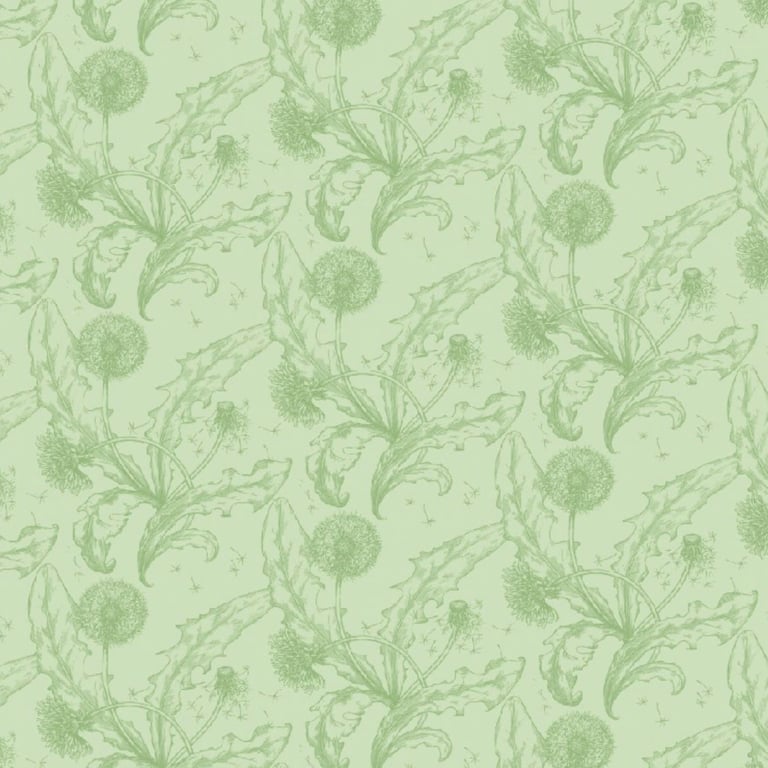 Navigate to Wallpaper PortersPaints Dandelion CeladonGreen