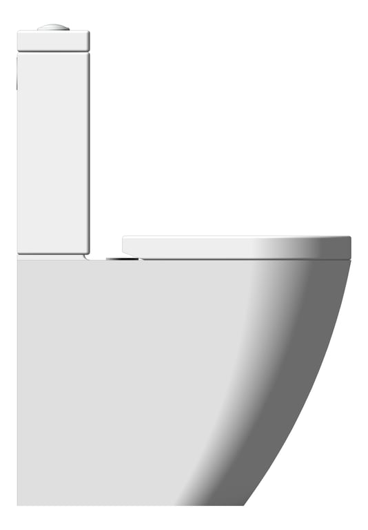 ToiletSuite WallFaced Raymor Winton ComfortHeight