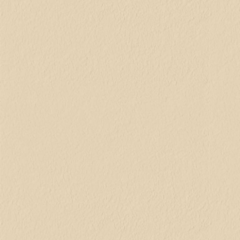 TextureCoating Wattyl Granosite GranoShield MattLowProfile BeachLife
