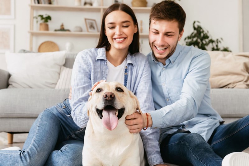 Choosing a Pet-Friendly Apartment for Rent Based on Your Animal
