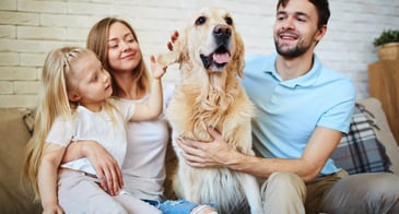 Considerations When Renting Pet-Friendly Apartments in Qatar
