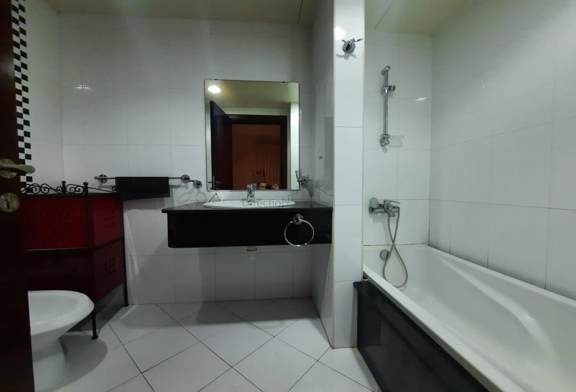 SPACIOUS 1 BEDROOM APARTMENT- FURNISHED