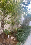 F/F Compound Villa ground floor + backyard - Villa in Umm Al Seneem Street