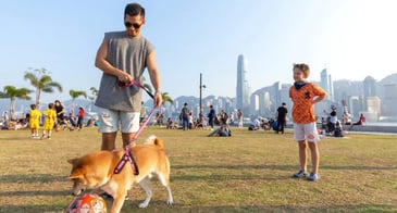 Best Dog Parks in Qatar