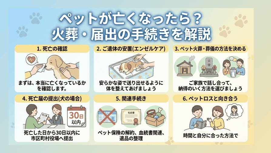 ペットが亡くなったら？火葬・届出の手続きを解説