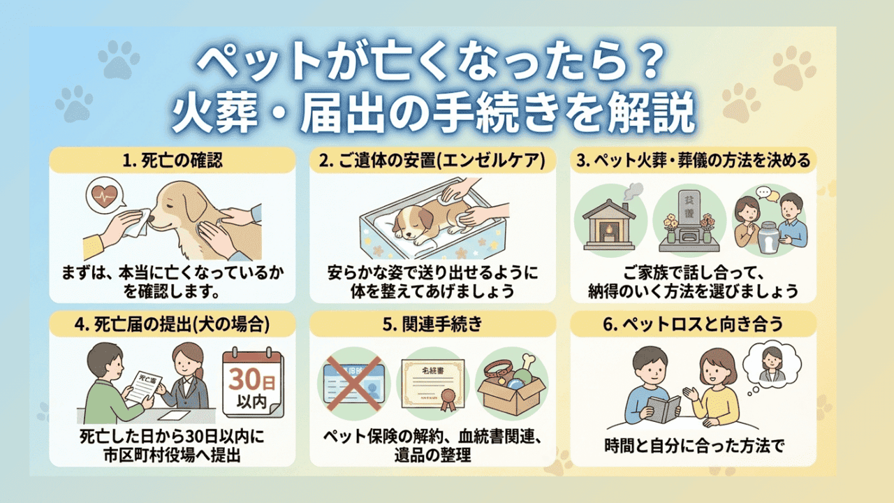 ペットが亡くなったら？火葬・届出の手続きを解説
