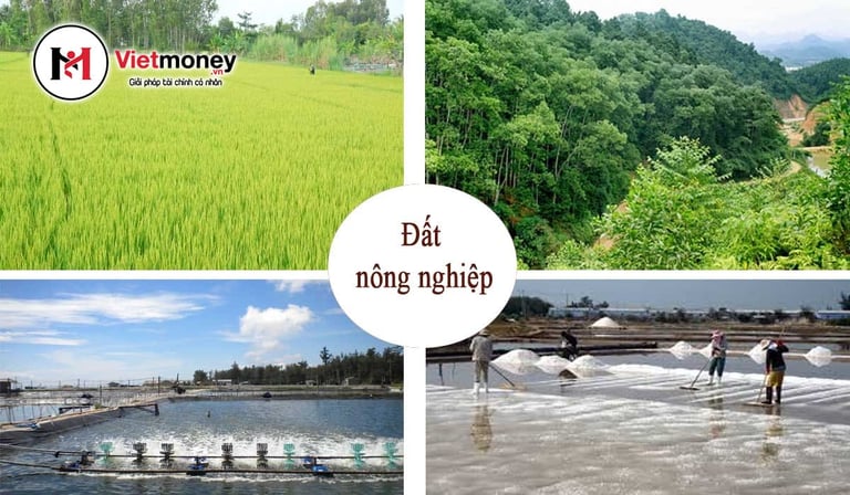 Các loại đất nông nghiệp hiện nay