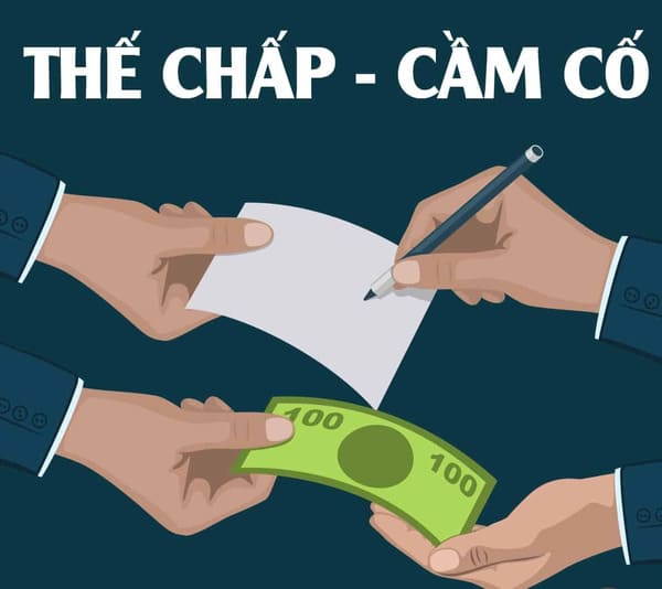 d60073b2-cam-co-va-the-chap