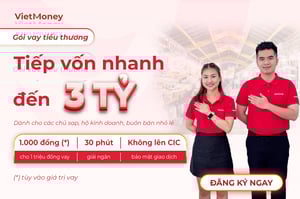 vietmoney-ra-mat-goi-vay-tieu-thuong