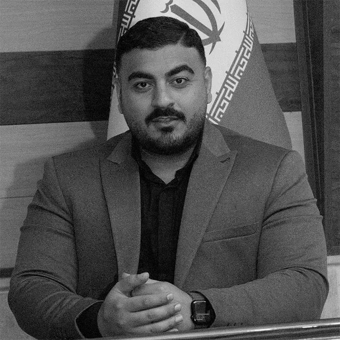 Portrait of MEHDI MIRSOLTANI