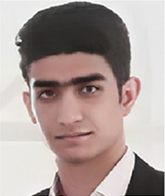 Portrait of ALIREZA TALEBI Qareh GÅ«z-e Äªl
