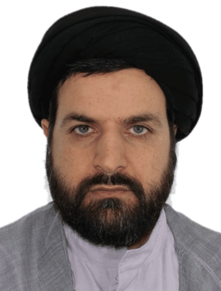 Portrait of SEYYED MEHDI HASHEMI TOGHROLJERDI