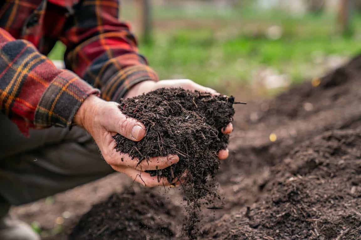 watering compost