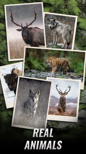 Trophy Hunter – Hunting Game screenshot 1