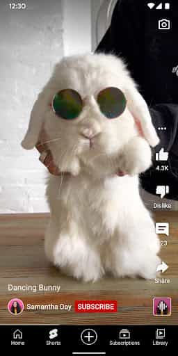 YouTube screenshot 2