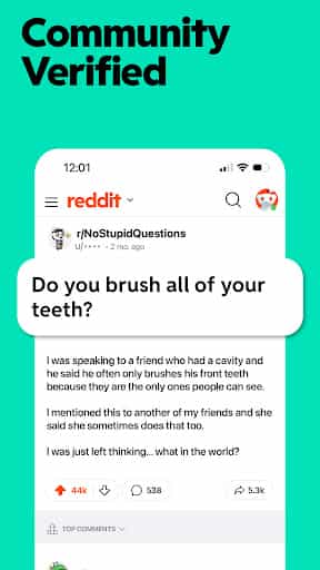 Reddit screenshot 2