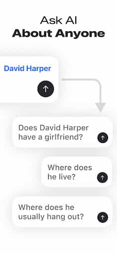 Deepsearch AI Search Assistant screenshot 2