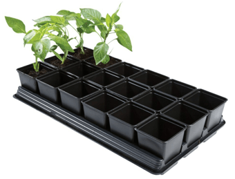 picture of Professional Vegetable Tray - 18 x 9cm Square Pots - [GRL-W0062] (LP)