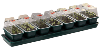 Picture of Garland Super 7 Self Watering Propagator - [GRL-G136] (LP)
