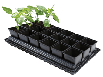 picture of Garland Professional Vegetable Tray Set - 18 x 9cm Square Pots - [GRL-W0064]