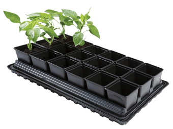 Picture of Garland Professional Vegetable Tray Set - 18 x 9cm Square Pots - [GRL-W0064]