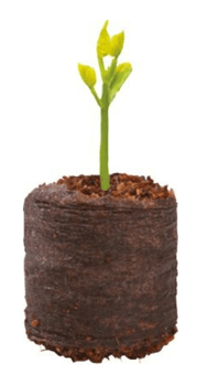 picture of Garland 50 Coir Growing Pellets - [GRL-W0324]