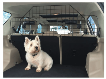 picture of Streetwize Deluxe Head Rest Mount Mesh Dog Guard - [STW-SWDG5]