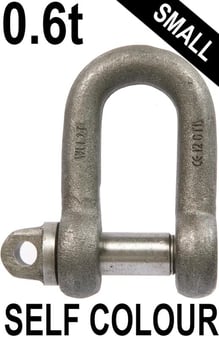 picture of 0.6t WLL Self Colour Small Dee Shackle c/w Type A Screw Collar Pin - 3/8" X 1/2" - [GT-HTSDSC.6] - (HP)