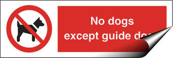 picture of No Dogs Except Guide Dogs Sign - Reverse Printed Window Stick Option - 300 X 100Hmm - Self Adhesive Vinyl - [AS-PR93WIN-SAV]