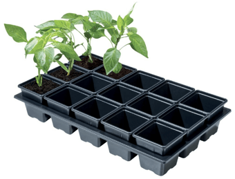 Picture of Garland Professional Mini Vegetable Tray - 15 x 7cm Square Pots - [GRL-W0060]