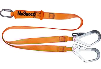 picture of Delta Plus Energy Absorber Fall Arrester with Double 2M Lanyard - [LH-AN213200ZDD]